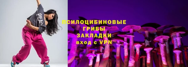 гидра Алексин