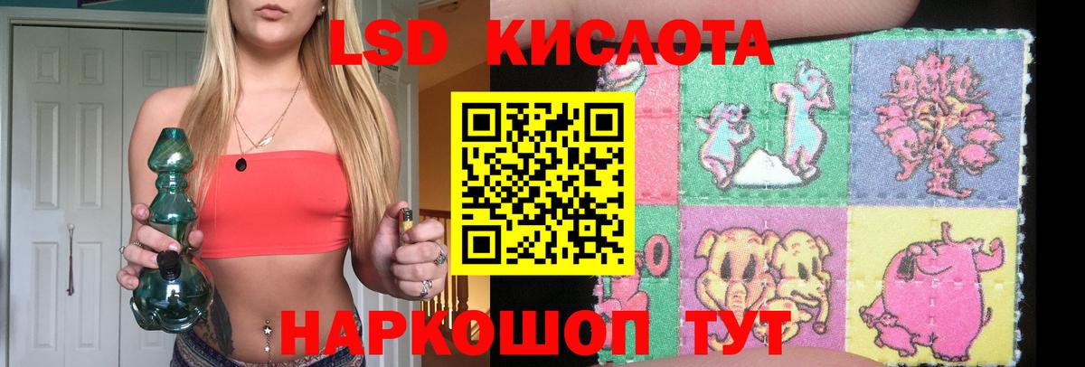 A PVP Находка