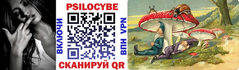blacksprut как войти Находка Псилоцибиновые грибы GOLDEN TEACHER