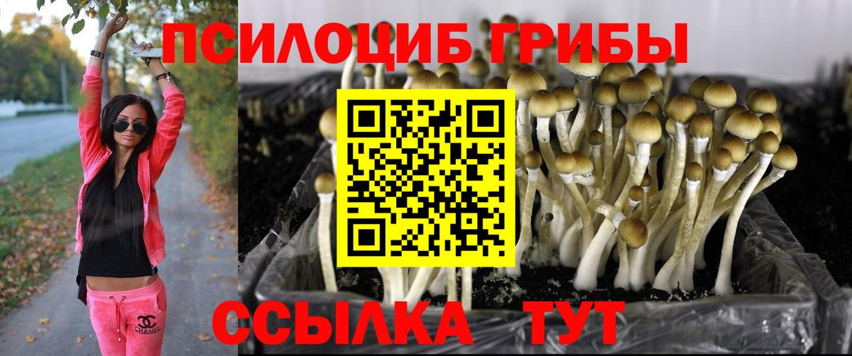 Находка  Галлюциногенные грибы Psilocybe  Вход с VPN  закладки  Галлюциногенные грибы Cubensis 
